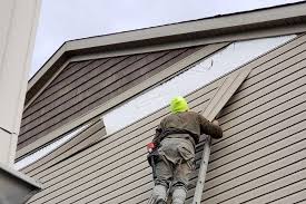 Historical Building Siding Restoration in Brownsburg, IN